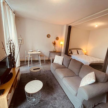 L'Albuconis 1 Grand Studio Aubusson  Luaran gambar